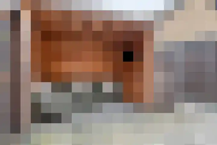 Vianendreef 39 Prinsenbeek thumbnail 26