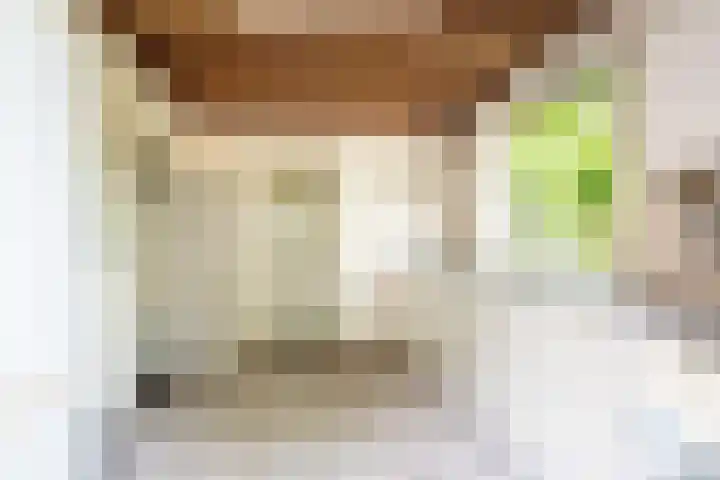 Vianendreef 96 Prinsenbeek thumbnail 11