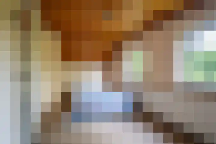 Vianendreef 96 Prinsenbeek thumbnail 15