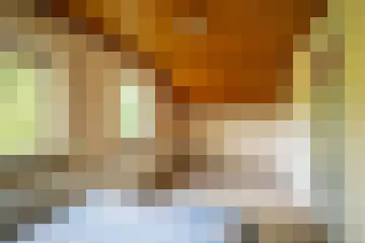 Vianendreef 96 Prinsenbeek thumbnail 16