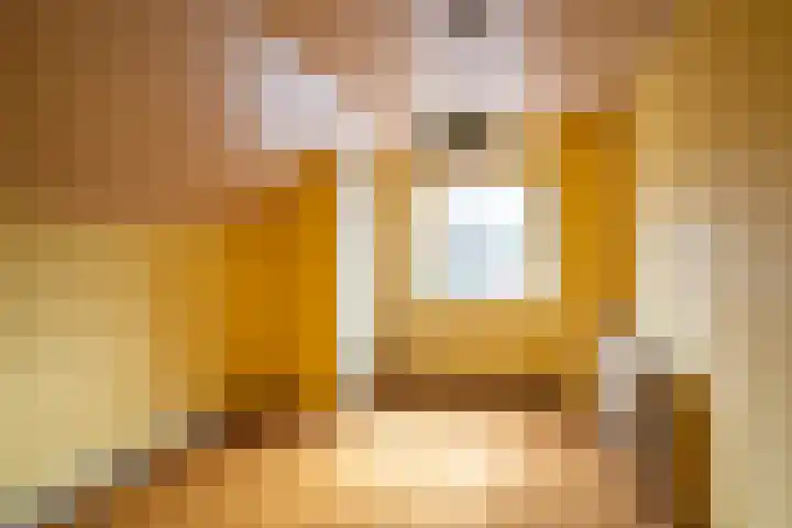 Vianendreef 96 Prinsenbeek thumbnail 17