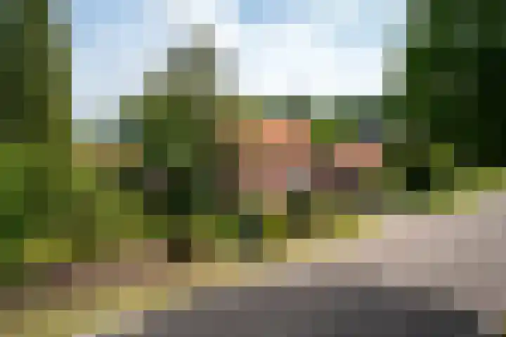 Vianendreef 96 Prinsenbeek thumbnail 19
