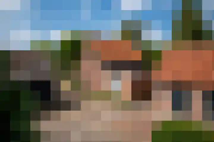 Vianendreef 96 Prinsenbeek thumbnail 20