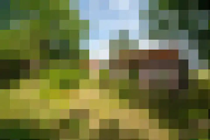 Vianendreef 96 Prinsenbeek thumbnail 22