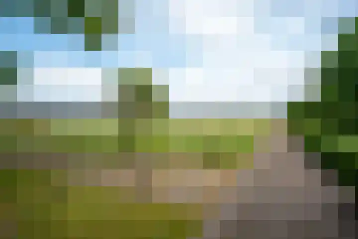 Vianendreef 96 Prinsenbeek thumbnail 23