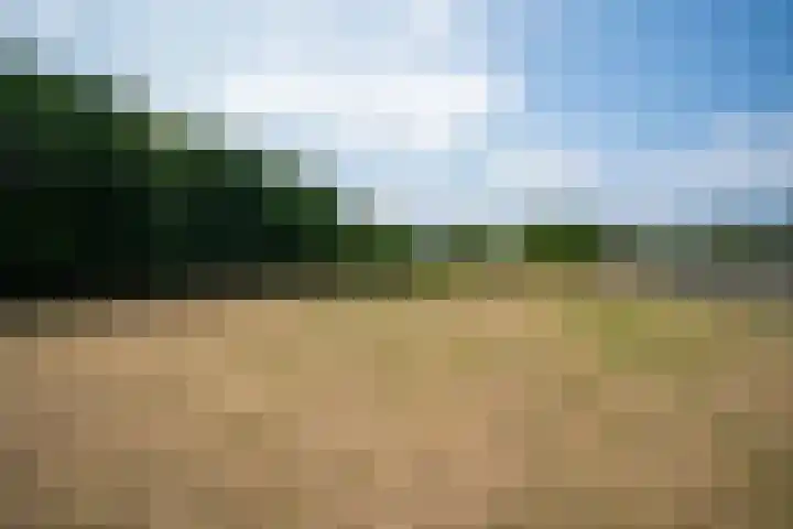Vianendreef 96 Prinsenbeek thumbnail 24