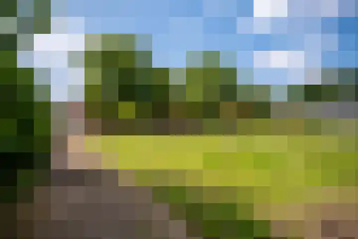Vianendreef 96 Prinsenbeek thumbnail 25