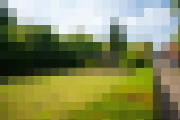 Vianendreef 96 Prinsenbeek thumbnail 26