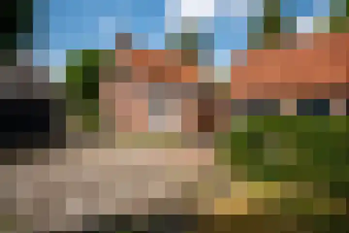 Vianendreef 96 Prinsenbeek thumbnail 27