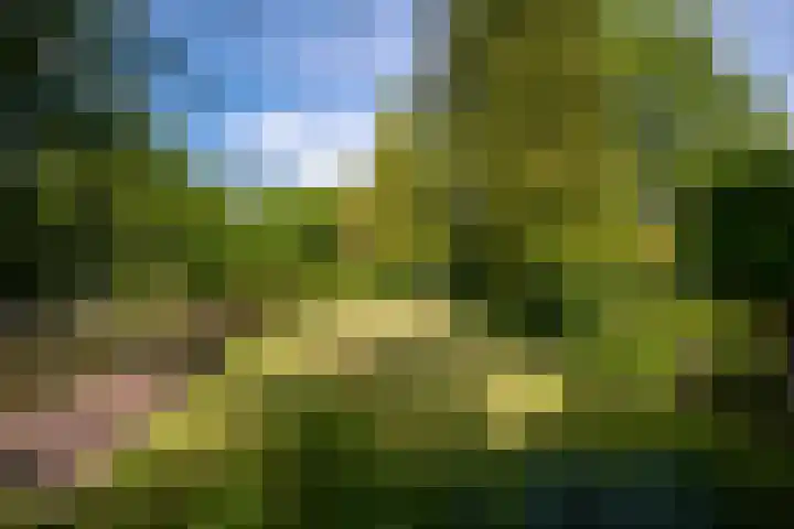 Vianendreef 96 Prinsenbeek thumbnail 28