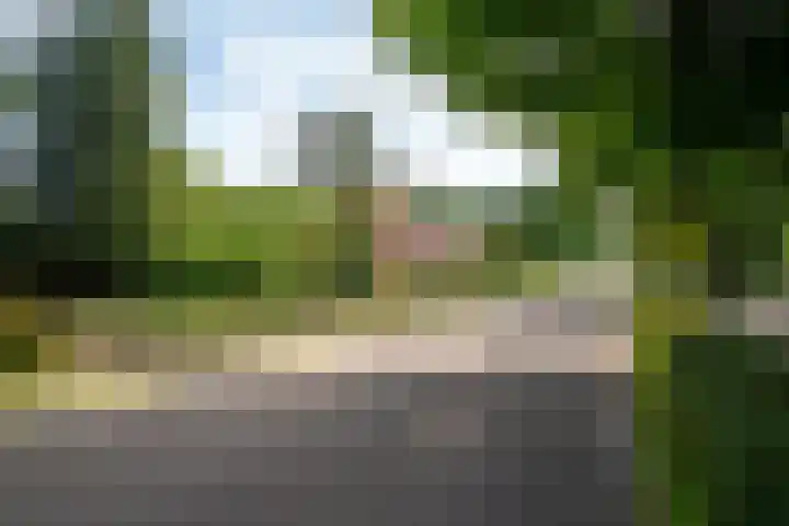 Vianendreef 96 Prinsenbeek thumbnail 30