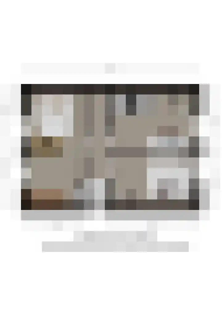 Vianendreef 96 Prinsenbeek thumbnail 32