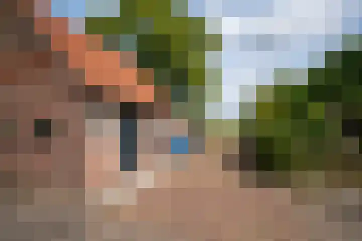 Vianendreef 96 Prinsenbeek thumbnail 5