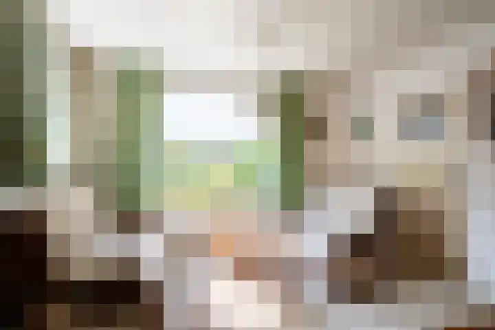 Vianendreef 96 Prinsenbeek thumbnail 7