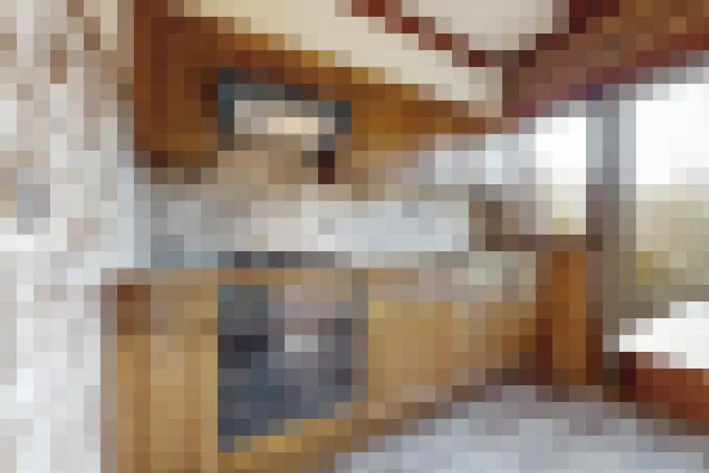 Vianenstraat 10 Zevenbergen thumbnail 18