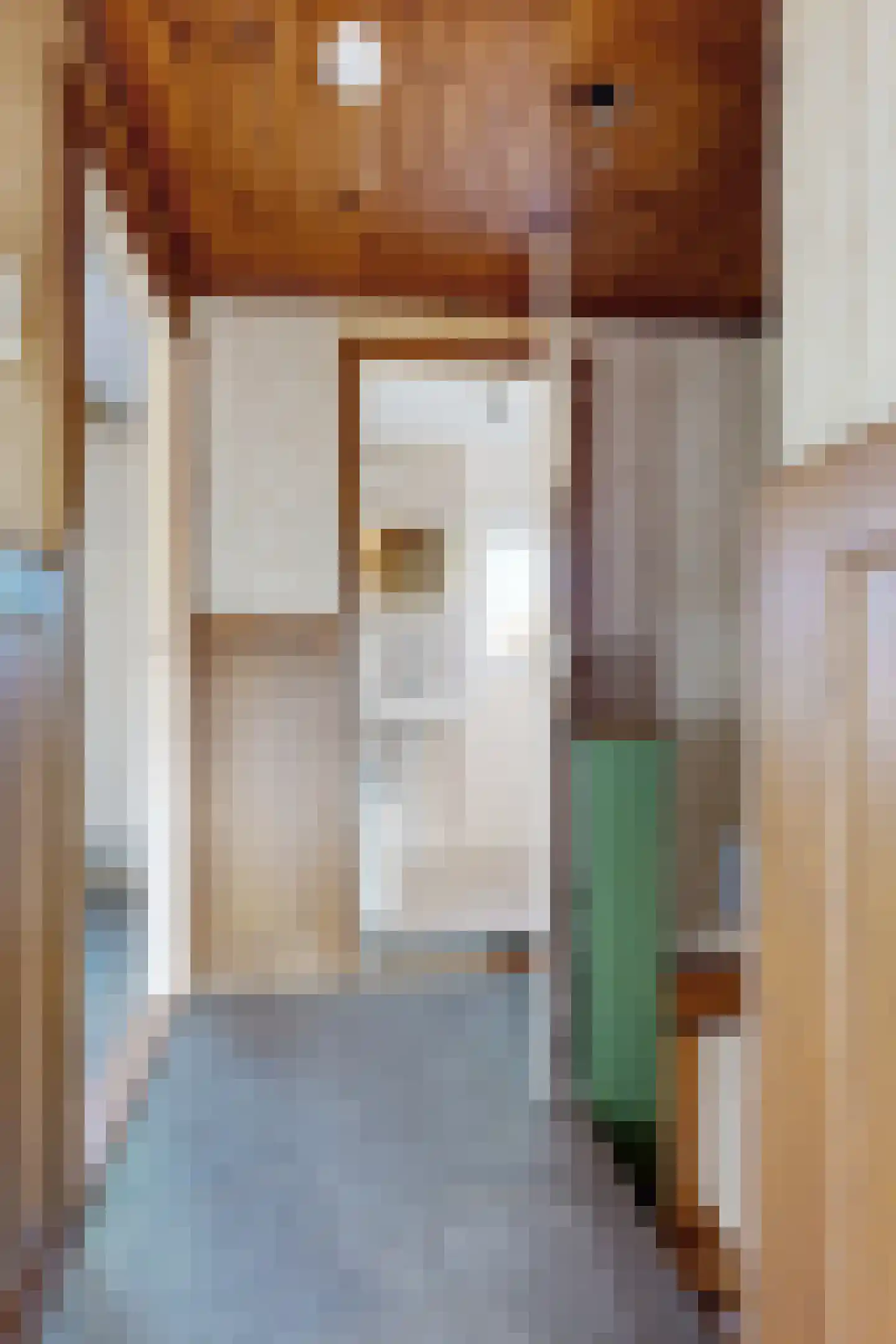 Vianenstraat 10 Zevenbergen thumbnail 22