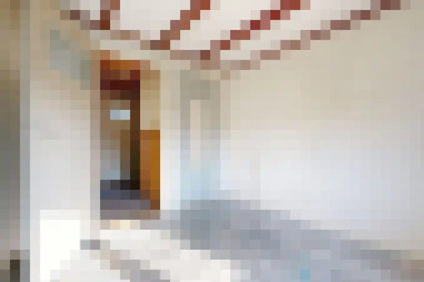 Vianenstraat 10 Zevenbergen thumbnail 29