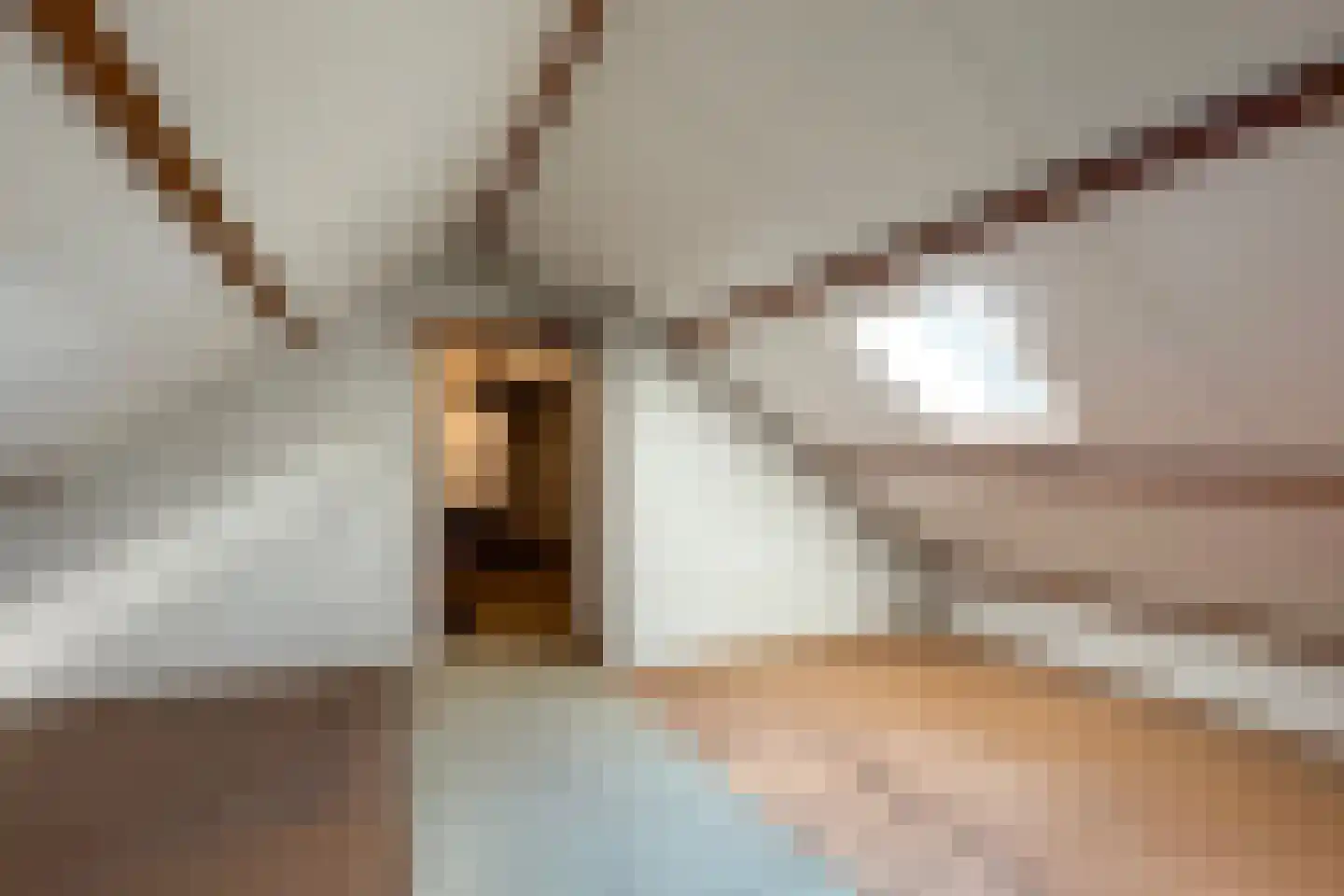 Vianenstraat 10 Zevenbergen thumbnail 38
