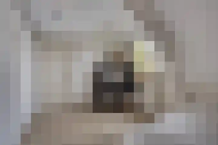 Vianenstraat 24 Velp thumbnail 14