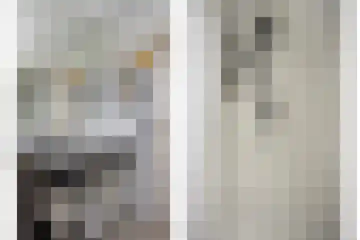 Vianenstraat 24 Velp thumbnail 15