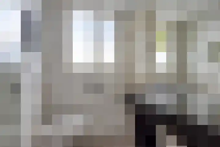 Vianenstraat 24 Velp thumbnail 16