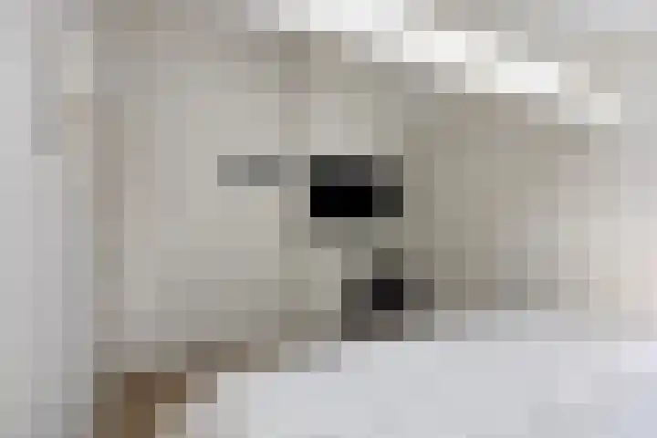 Vianenstraat 24 Velp thumbnail 18