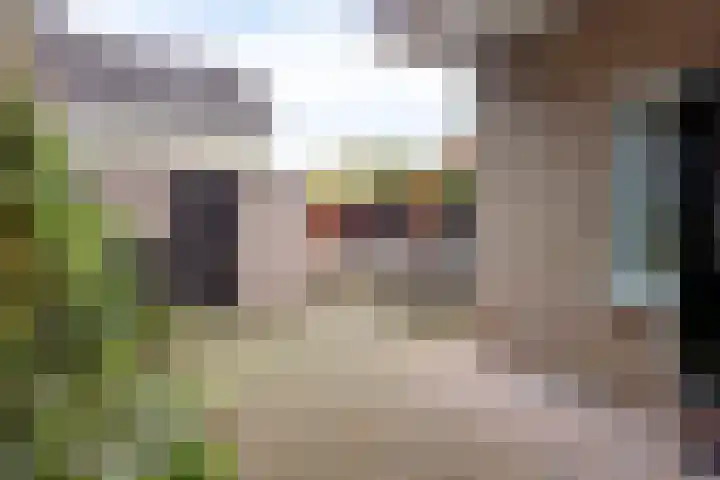 Vianenstraat 24 Velp thumbnail 20