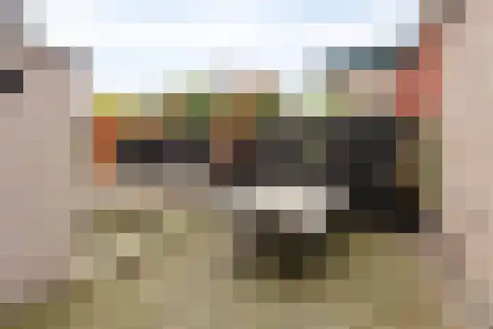 Vianenstraat 24 Velp thumbnail 22