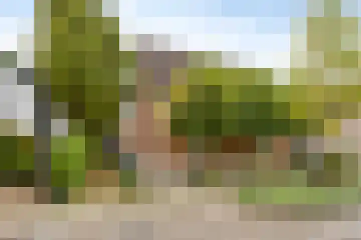 Vianenstraat 24 Velp thumbnail 26