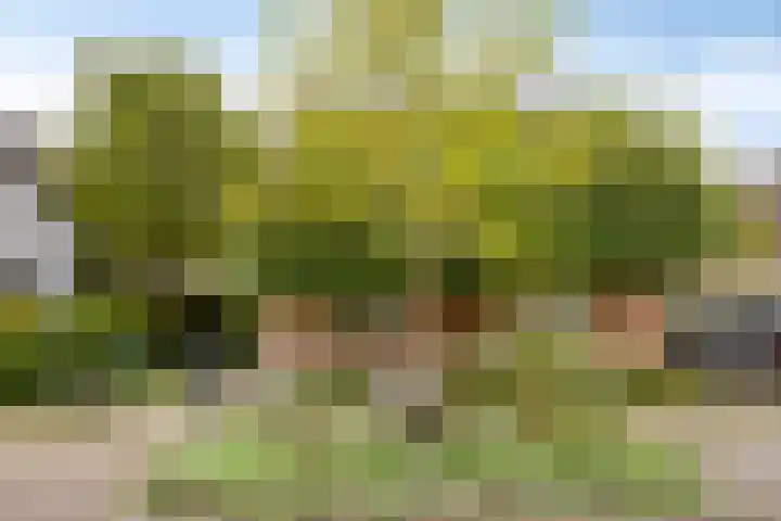 Vianenstraat 24 Velp thumbnail 27