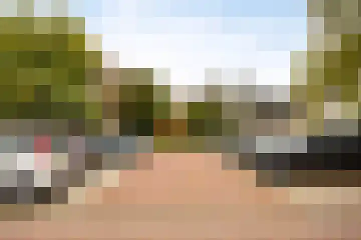 Vianenstraat 24 Velp thumbnail 28