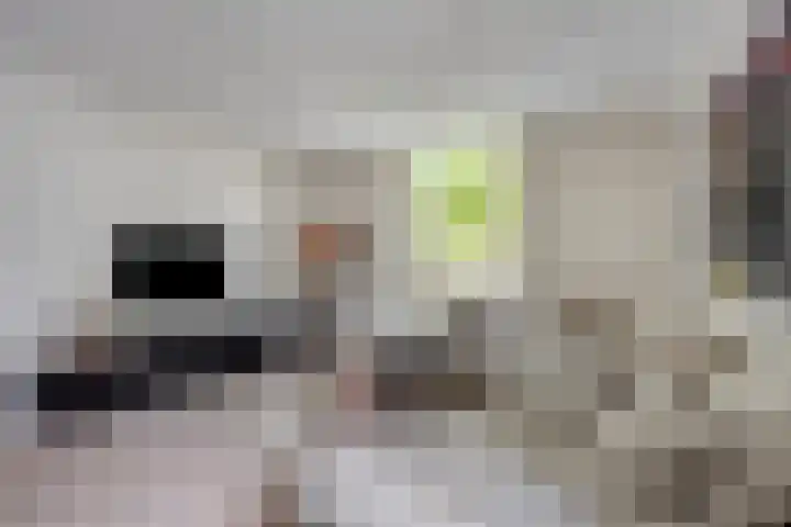Vianenstraat 24 Velp thumbnail 9