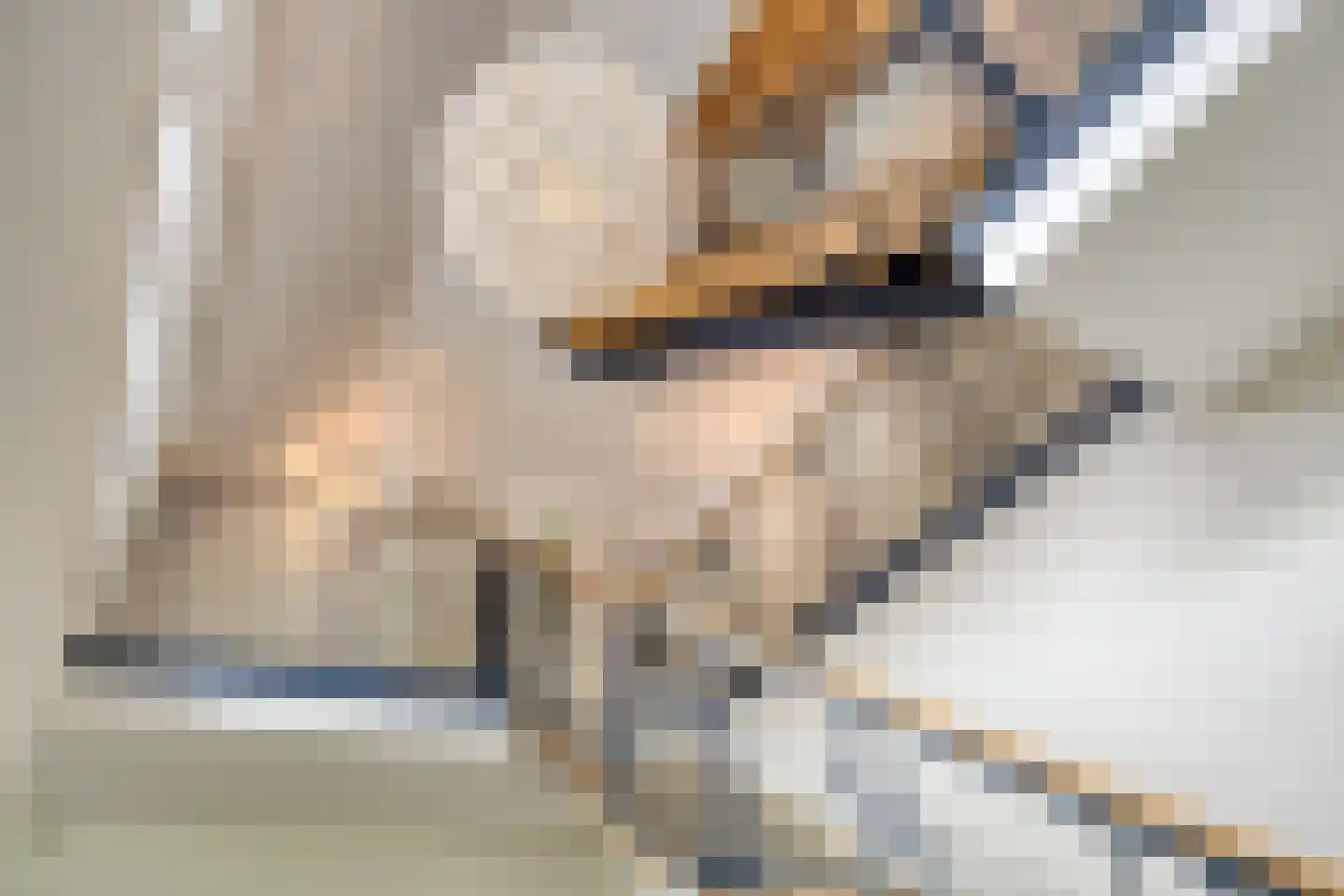 Vianenstraat 3 a Beers NB thumbnail 16