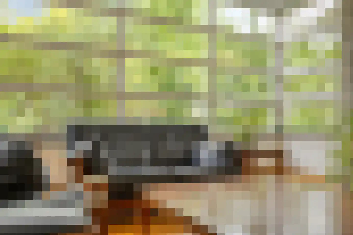 Vianenstraat 3 a Beers NB thumbnail 26