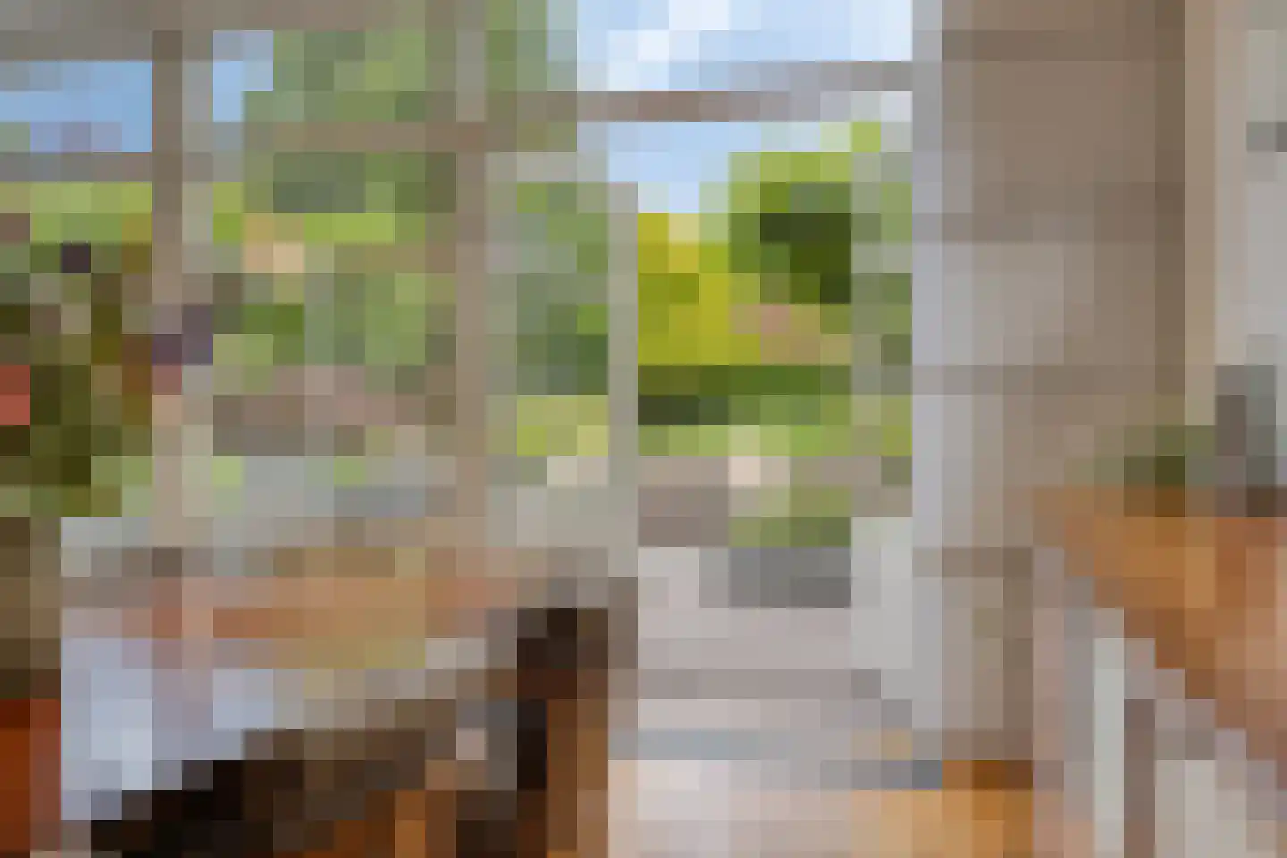 Vianenstraat 3 a Beers NB thumbnail 30