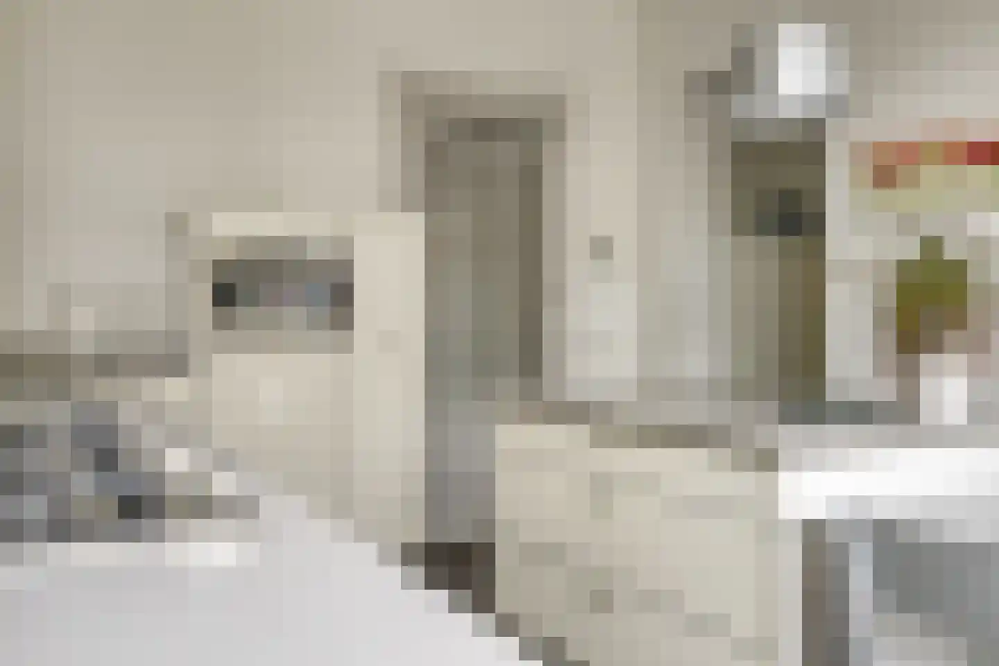Vianenstraat 3 a Beers NB thumbnail 32