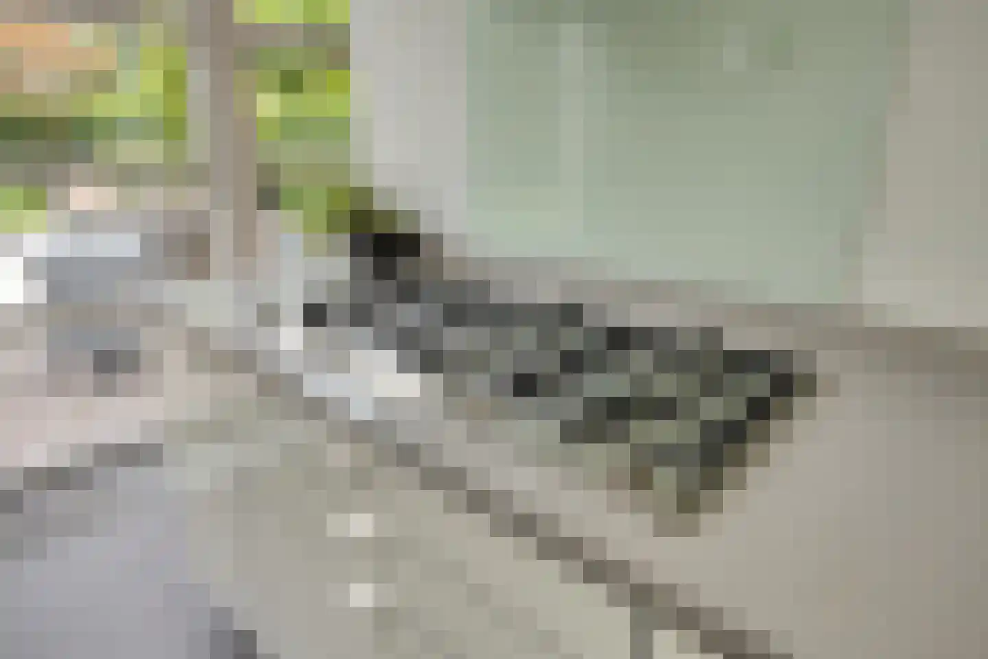Vianenstraat 3 a Beers NB thumbnail 35