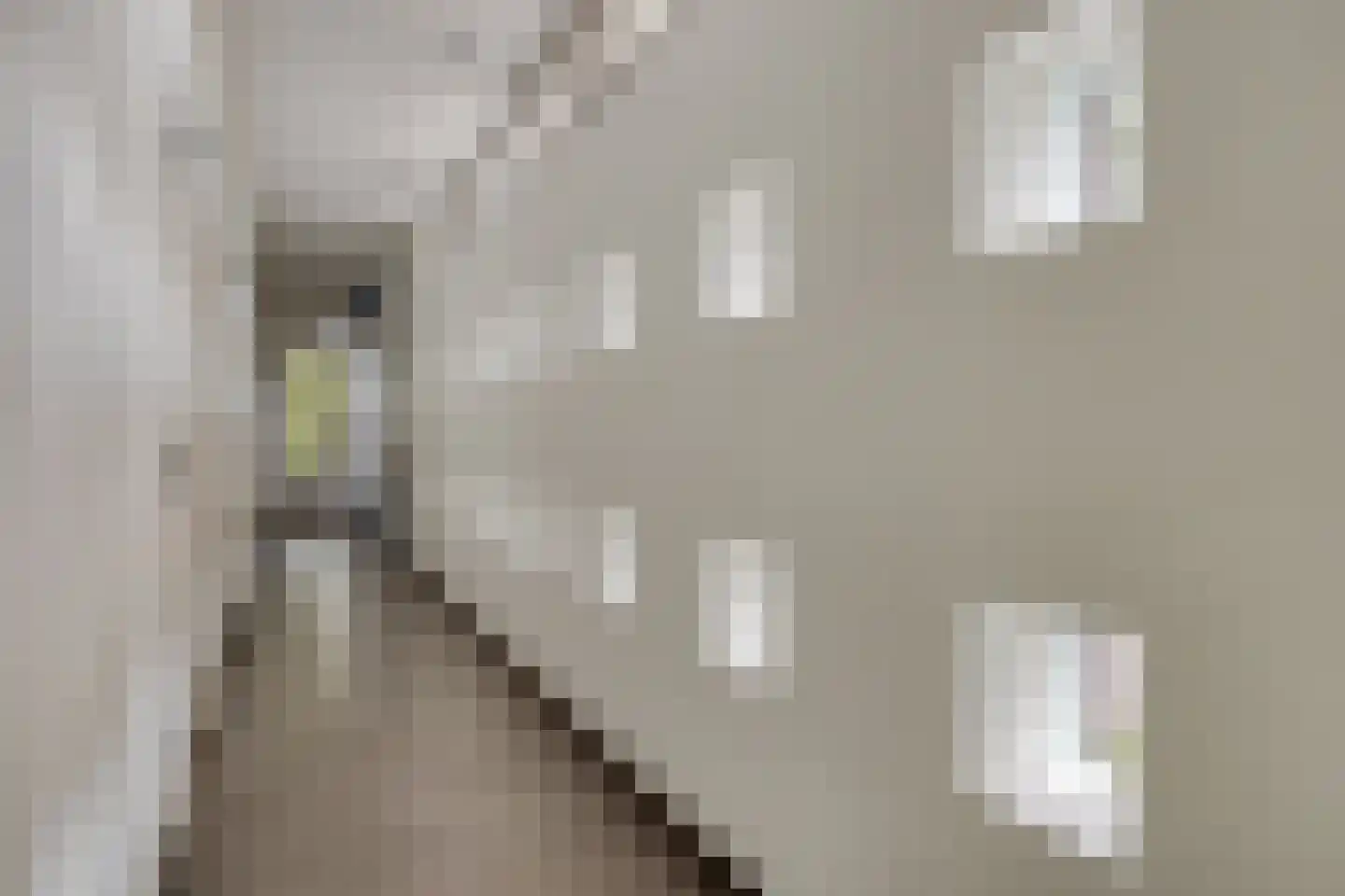 Vianenstraat 3 a Beers NB thumbnail 40