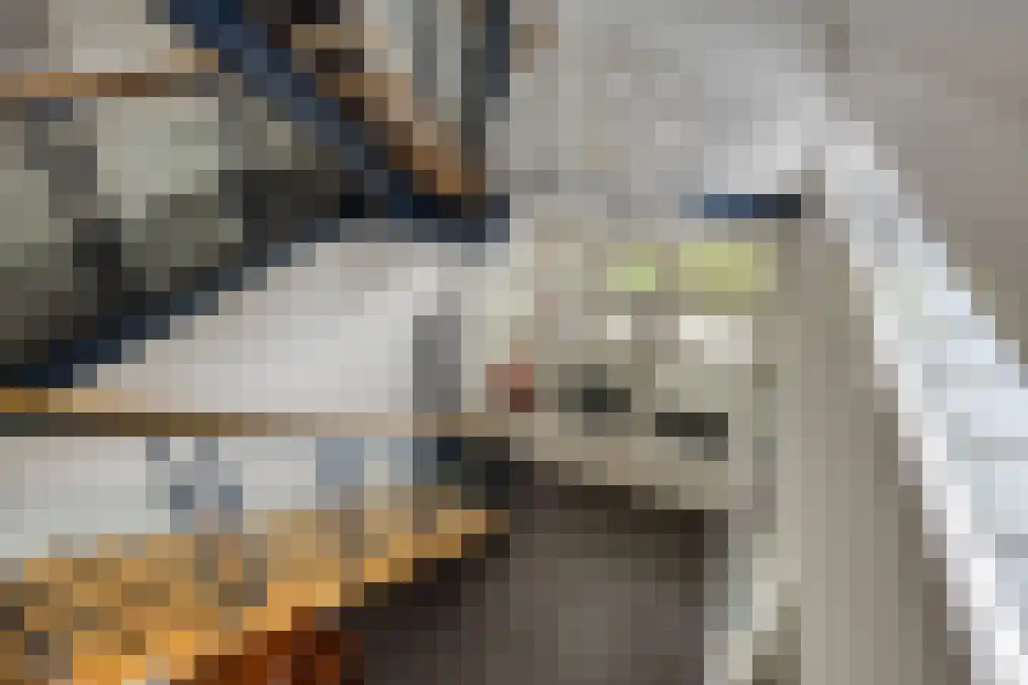 Vianenstraat 3 a Beers NB thumbnail 52