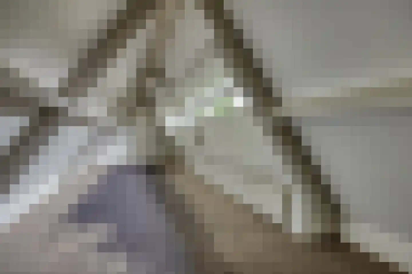 Vianenstraat 3 a Beers NB thumbnail 66