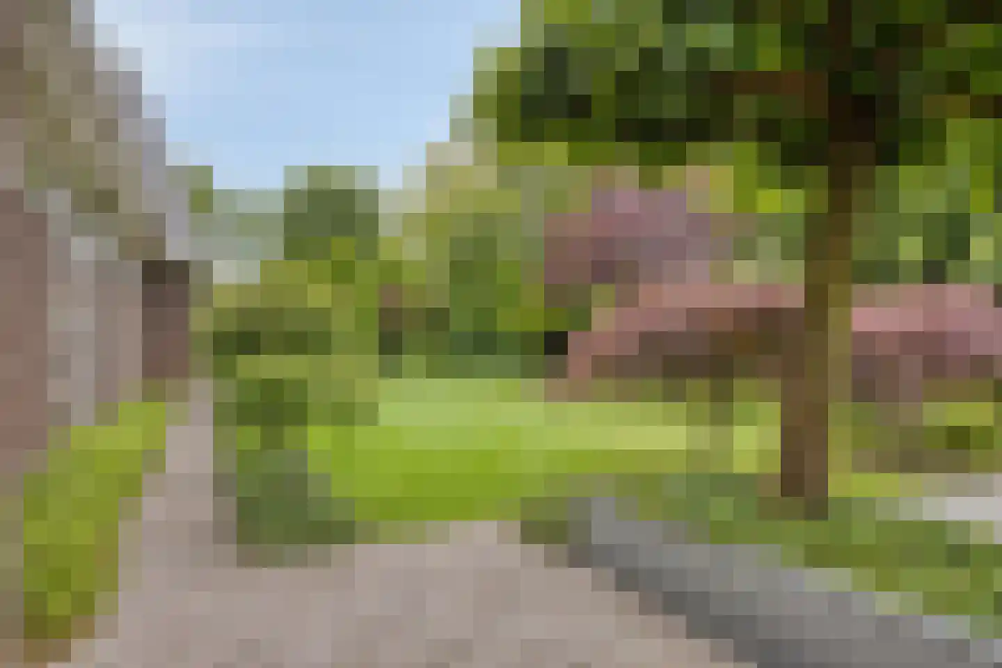Vianenstraat 3 a Beers NB thumbnail 78
