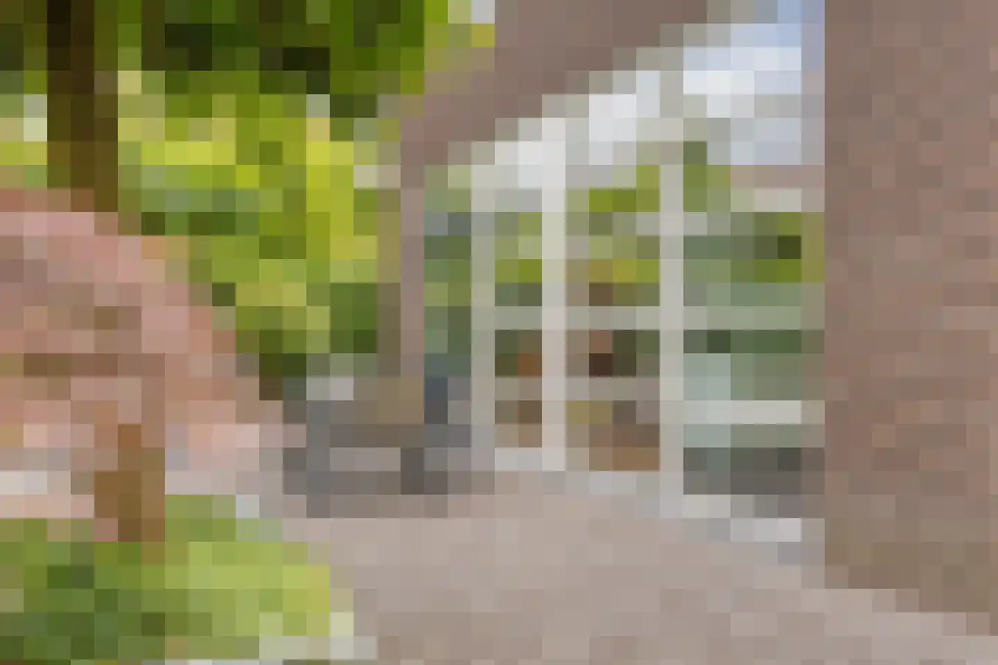 Vianenstraat 3 a Beers NB thumbnail 79