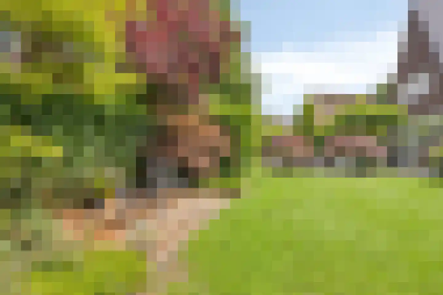 Vianenstraat 3 a Beers NB thumbnail 80