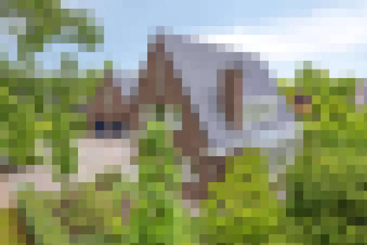 Vianenstraat 3 a Beers NB thumbnail 9