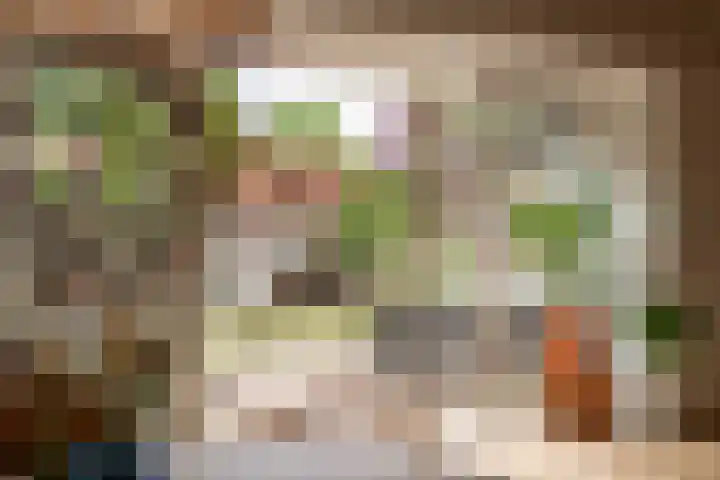 Vianenstraat 36 Oss thumbnail 14