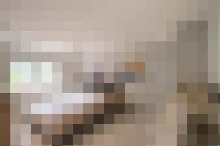 Vianenstraat 36 Oss thumbnail 17