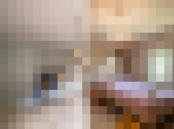 Vianenstraat 36 Oss thumbnail 18