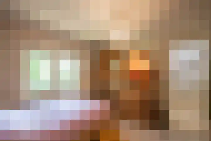 Vianenstraat 36 Oss thumbnail 19