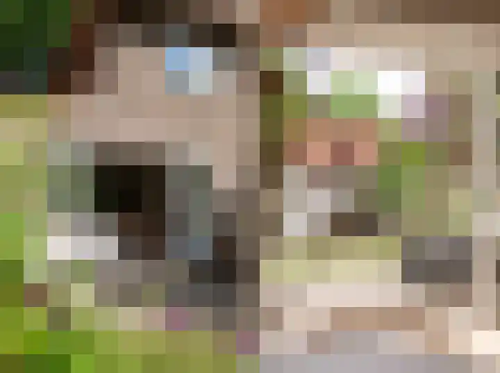 Vianenstraat 36 Oss thumbnail 26
