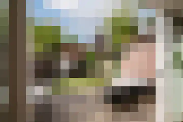 Vianenstraat 36 Oss thumbnail 28